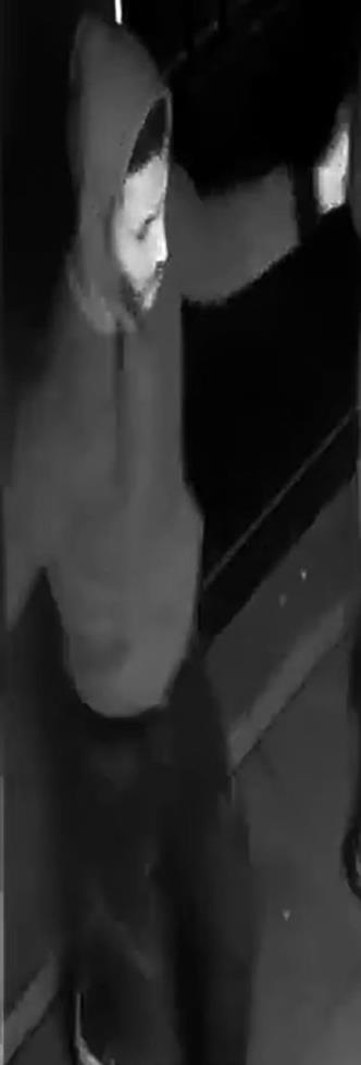4117575690920884 image