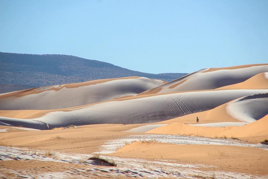 4118638269503735 image