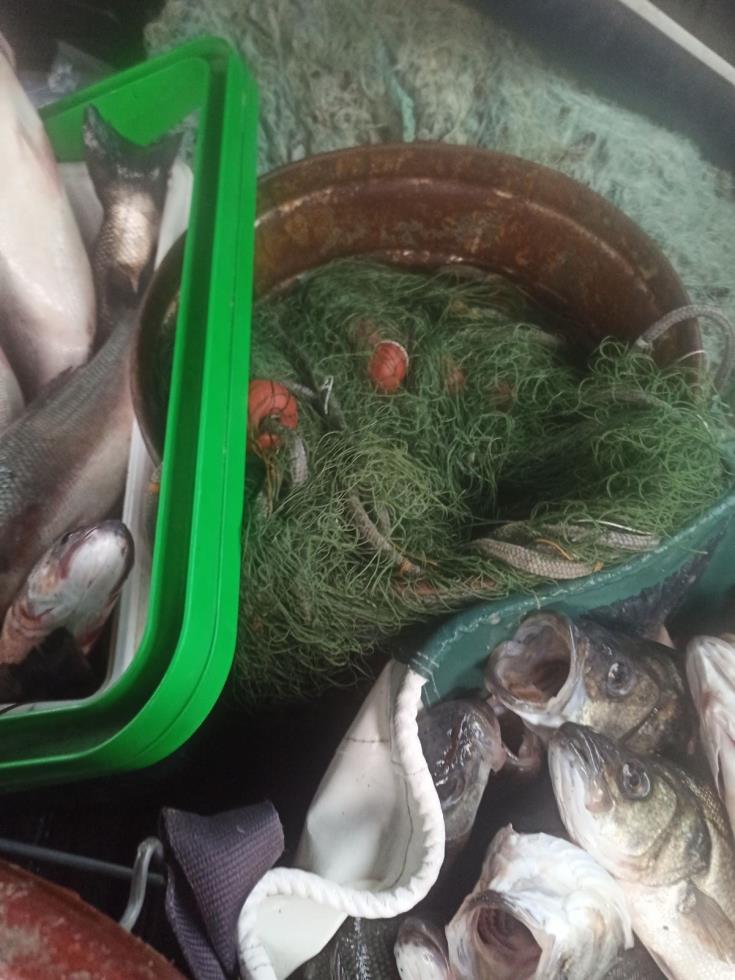 4119063997614974 272170018 232834685705912 2143298904256058355 n