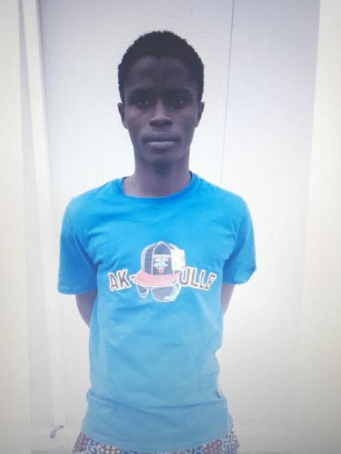 4119833454546550 image