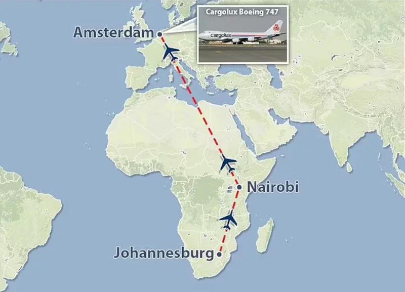 4122789914256045 image