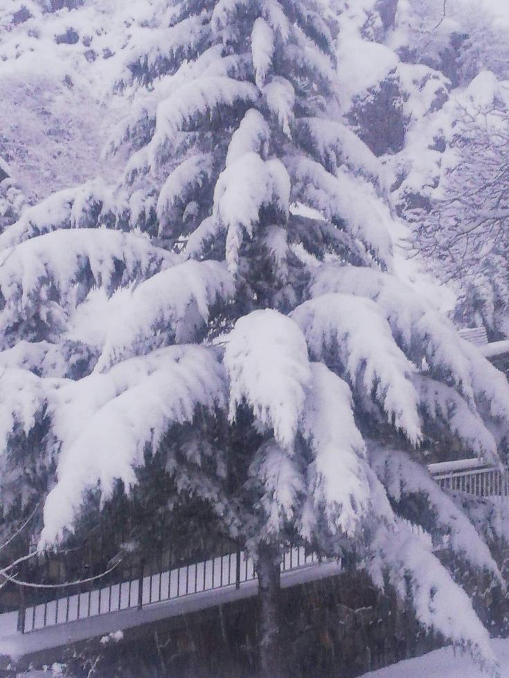 4123391092440146 272774560 1857436227778565 6327545993715474736 n