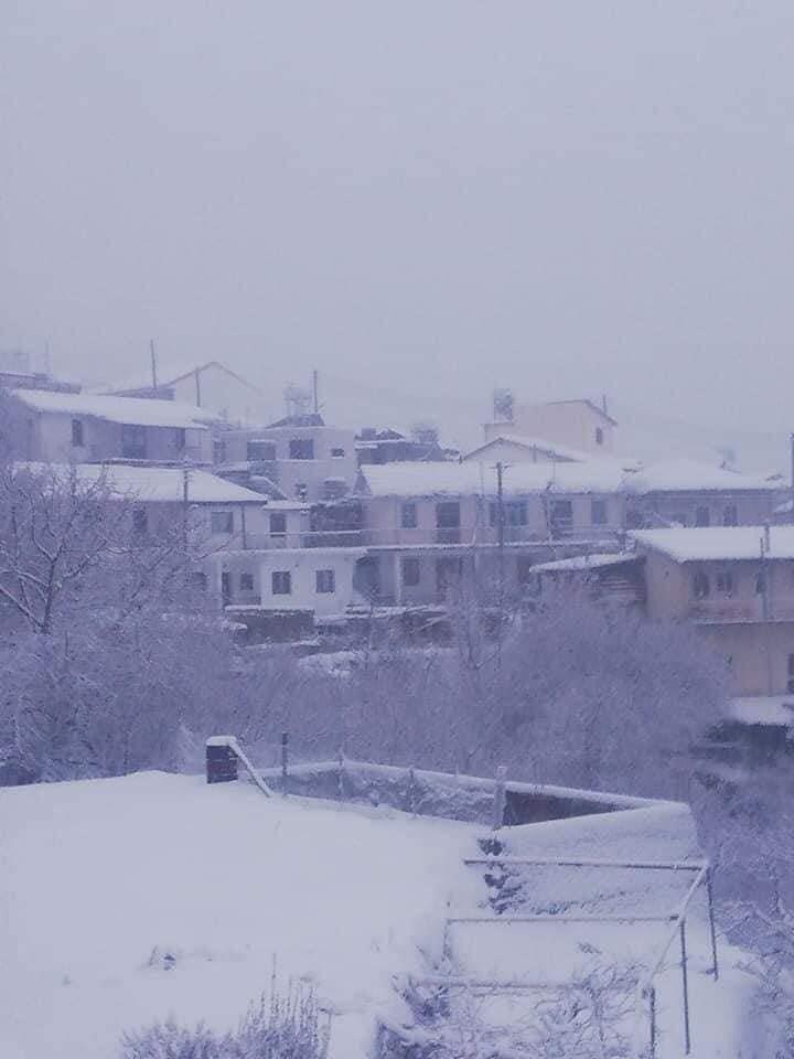 4123391271682997 272674044 1857436134445241 3077556427533244654 n