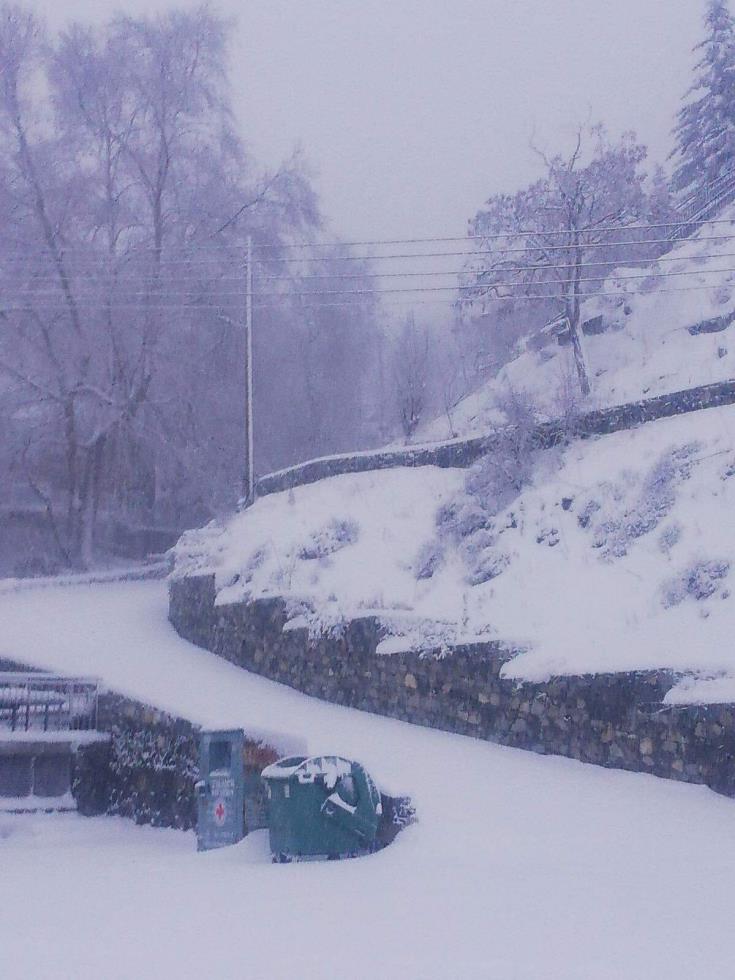 4123391286970899 272777613 1857436264445228 7921771499690688957 n