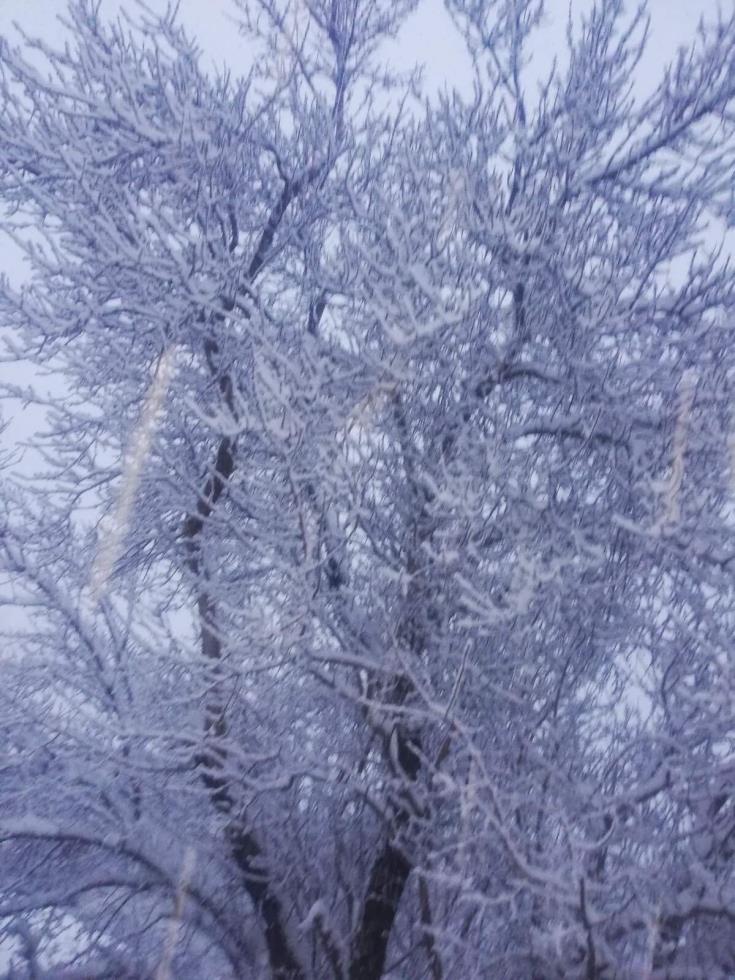 4123391306002777 272708371 1857436247778563 5580694361348630182 n