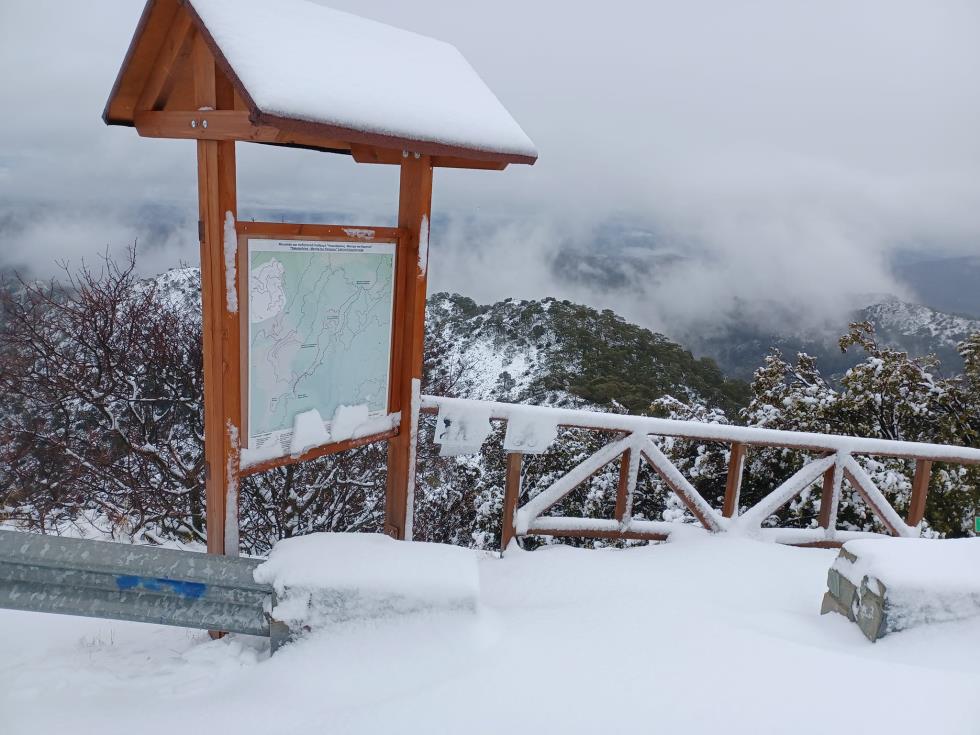 4123391726108084 272321818 5094928707192497 6970064133872800092 n