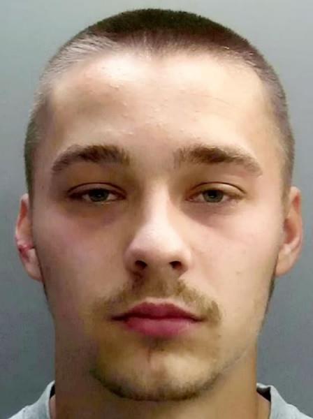 4126101926338192 image