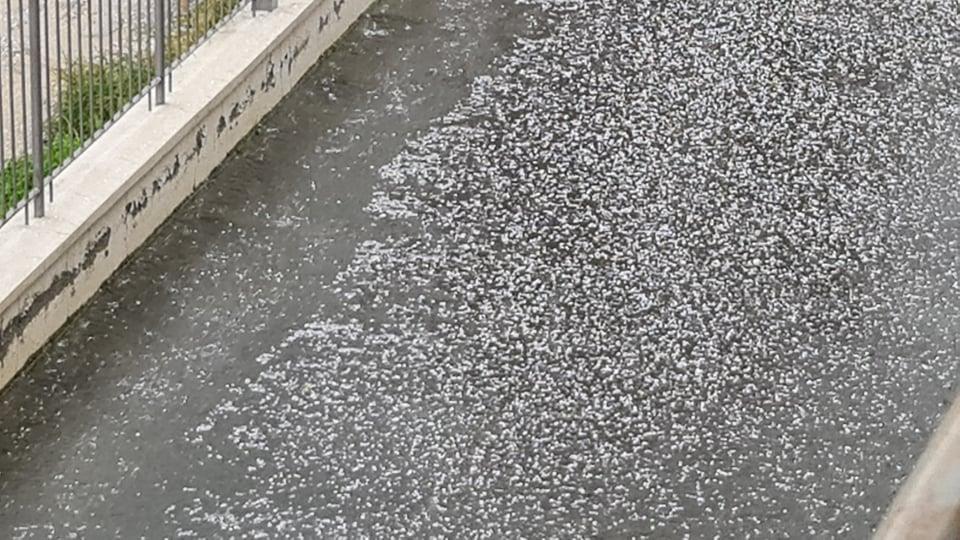 4131319095088801 272433142 264054815800818 8501083728972918964 n
