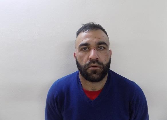 4132931936513455 image