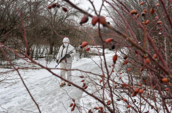 4133666880166258 image