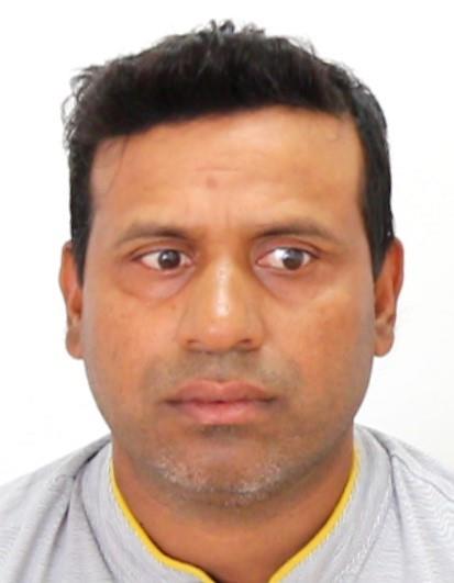 4135469145315055 image