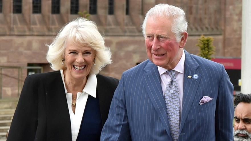 4135898037775548 image