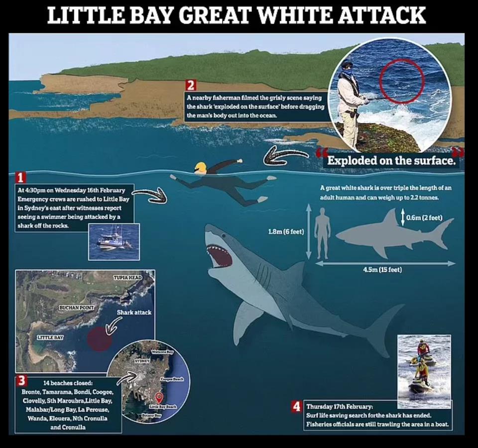 4143293554253488 image