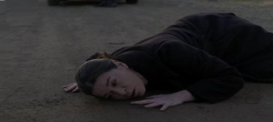 4144131023502839 cache 1920x1080 Analog medium 919536 46285 1822022