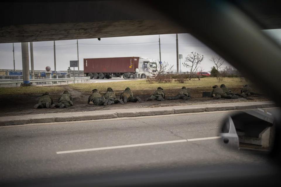 4150313839813350 image