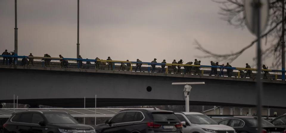 4150313974284488 image