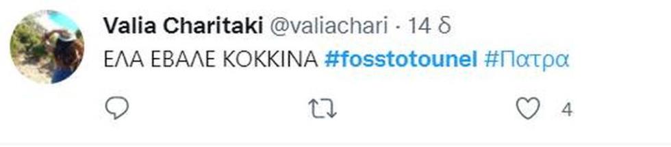4169179706832130 fosstotounel-2