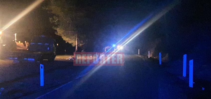 4178183535173391 image