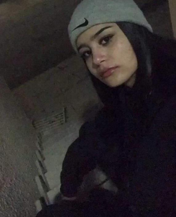 4182227144666120 image