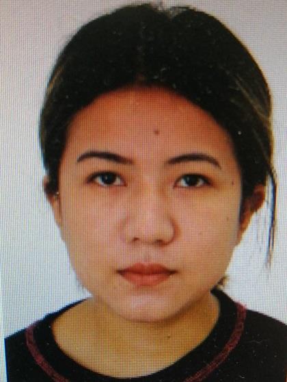 4195924245337518 image