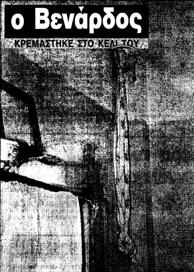 4200429455596961 image
