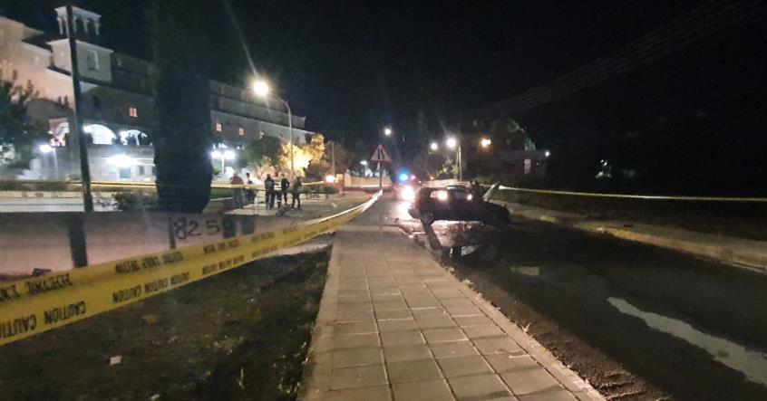 4201987768768533 image