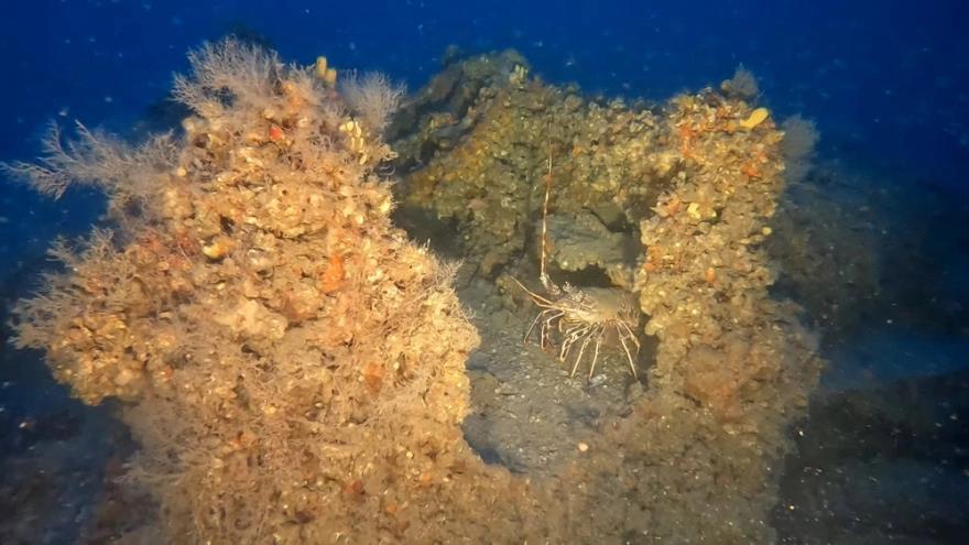 4207250952714383 image