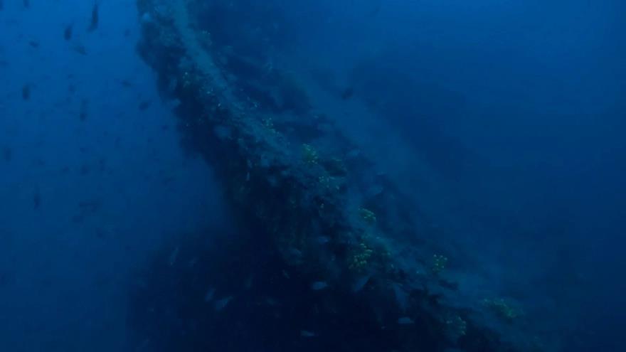 4207251015115183 image