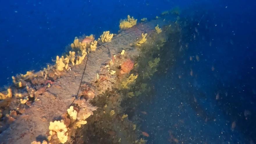 4207251059887757 image