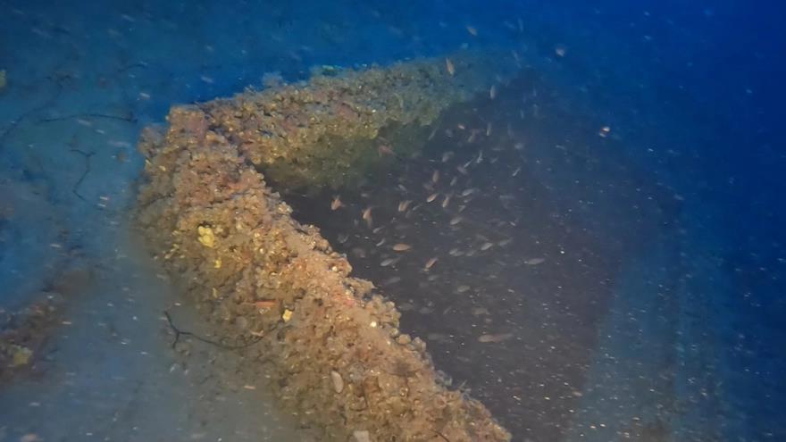 4207251522121683 image