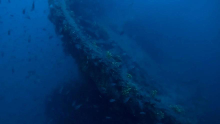 4207251907446623 image