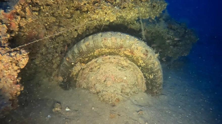 4207252093400582 image