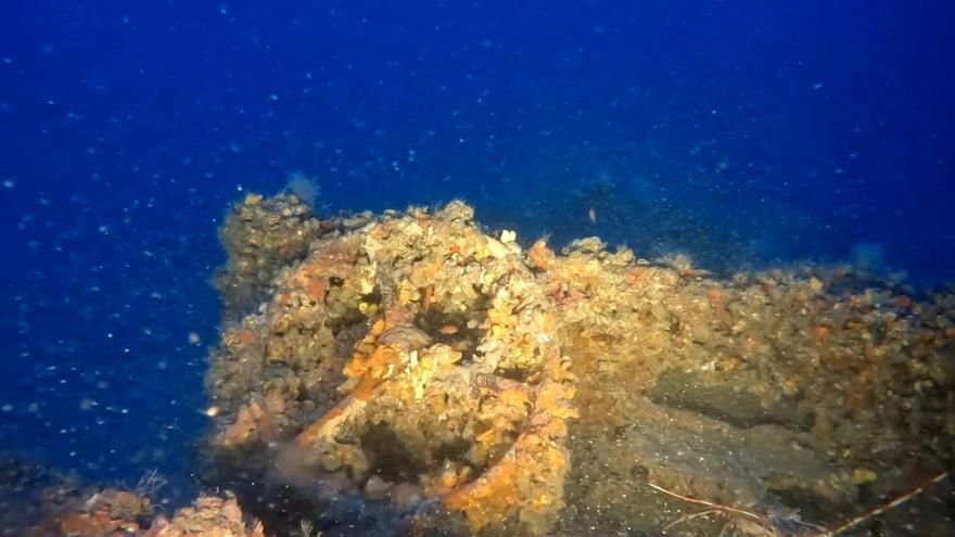 4207252363126311 image