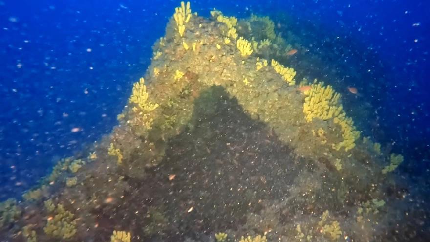 4207252798057099 image