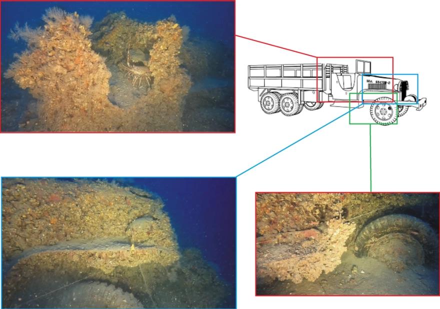 4207253290552256 image