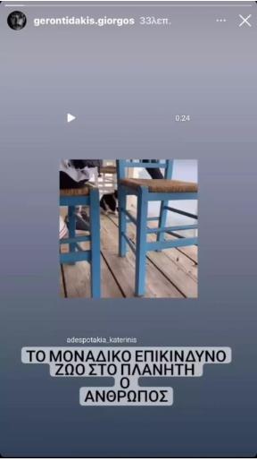 4208022836804651 image