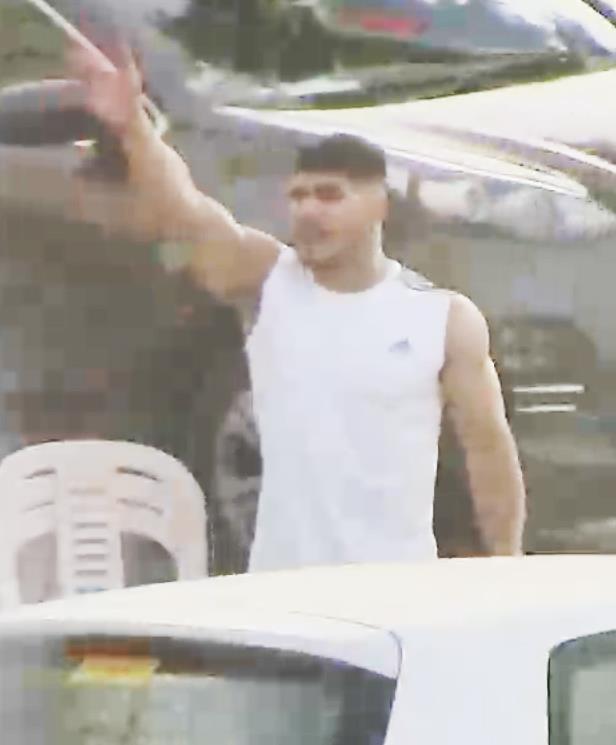 4209167620132217 198-2