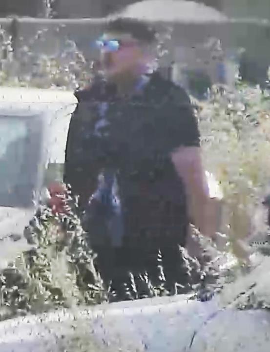 4209167634640403 019-2