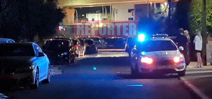 4212752574813225 image