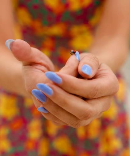 4213180263358645 image