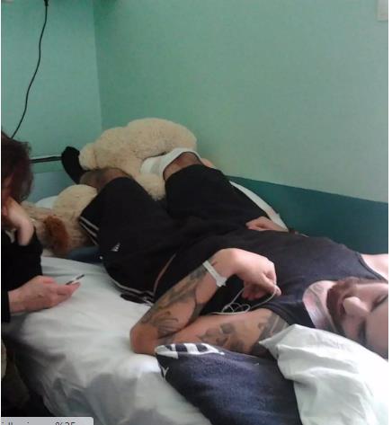 4213182428522467 image