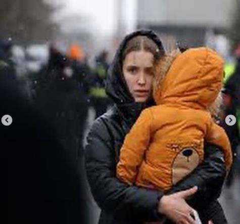 4214062900365587 image