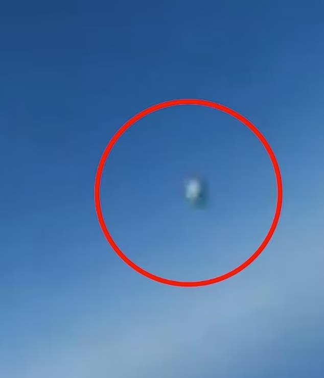 4220453673756866 image