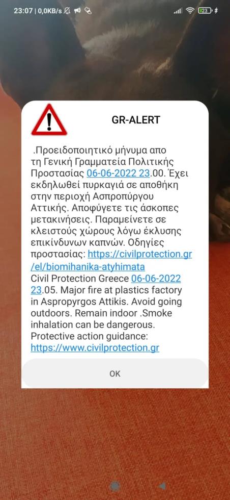 4237896095584666 image
