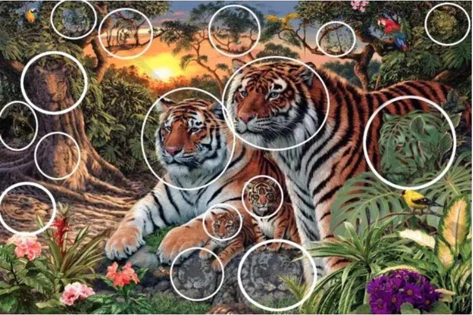 4240291568368310 image