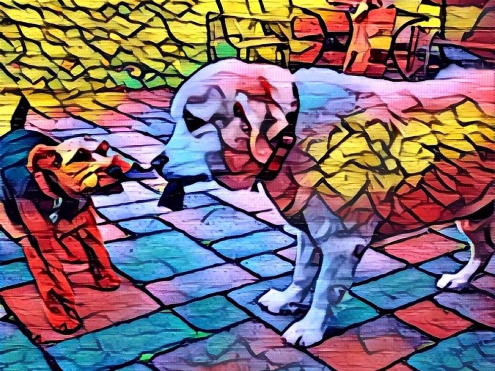 prisma 4