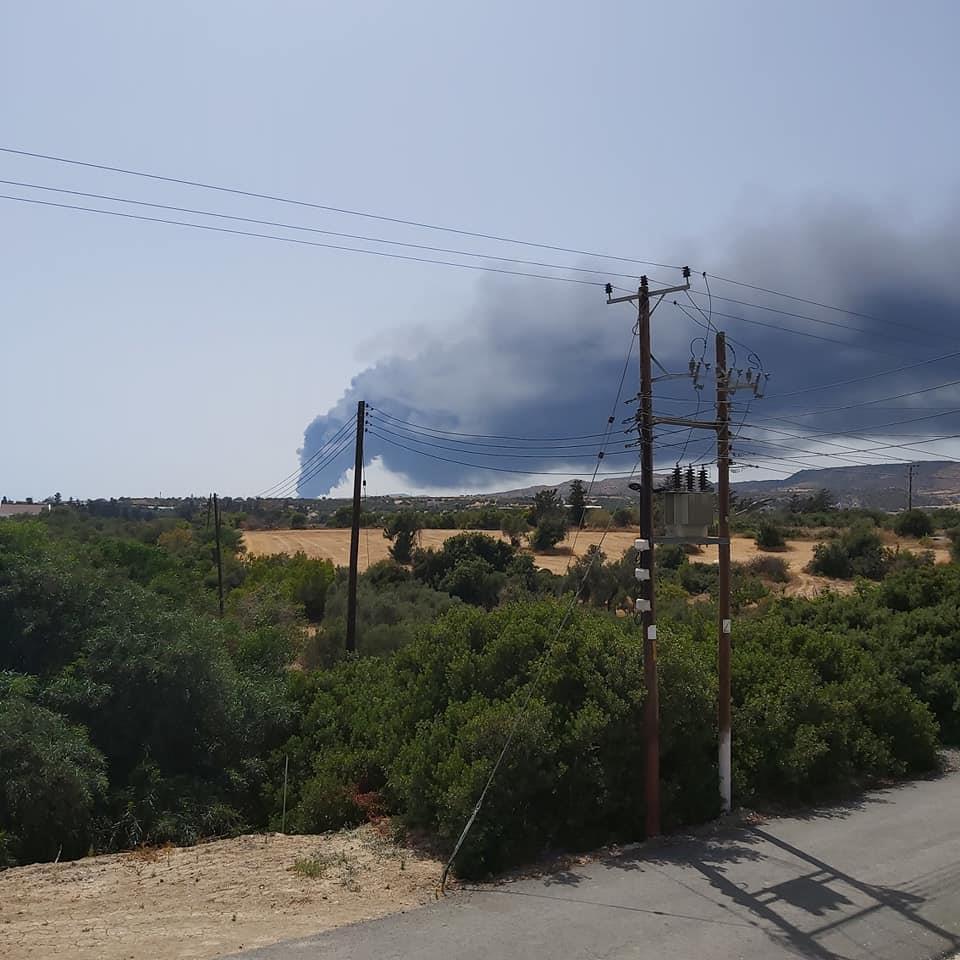 4241925373450393 image