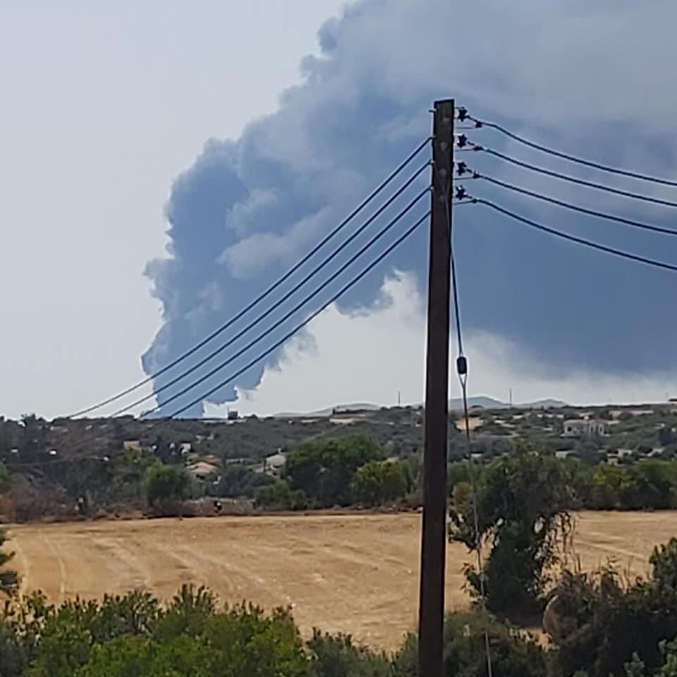 4241925461746393 image