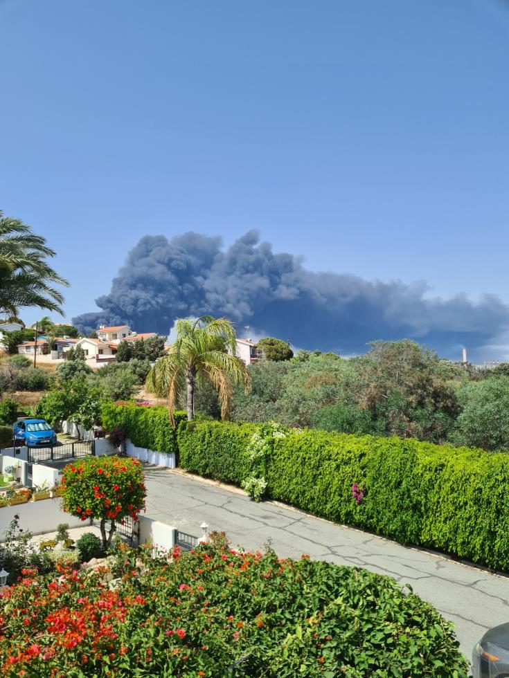 4241928849754393 image