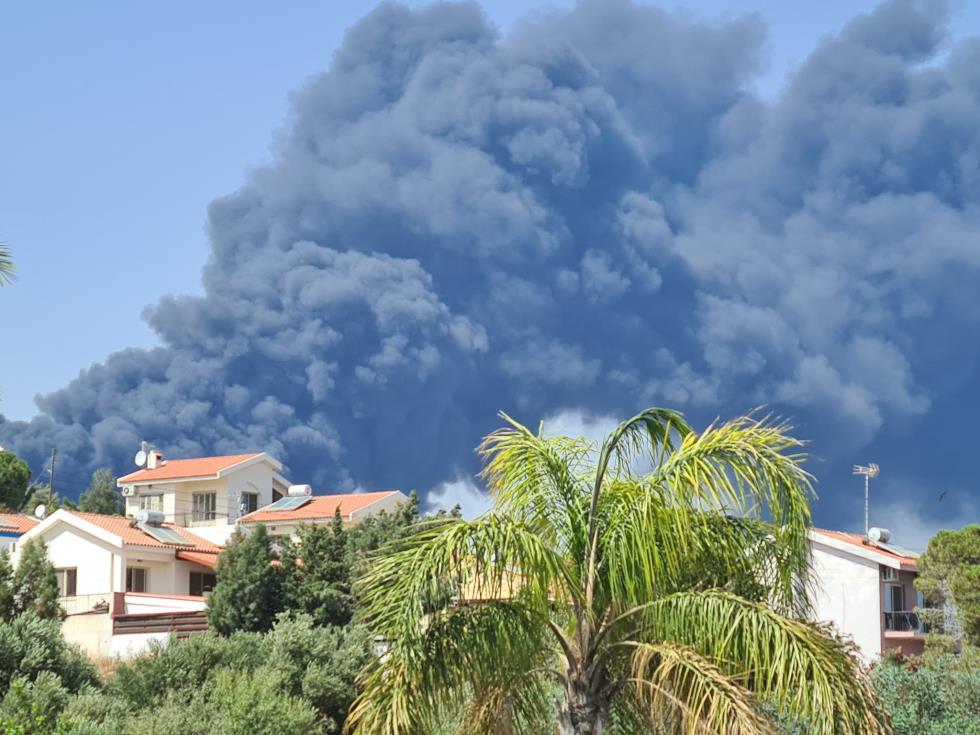 4241928946006393 image